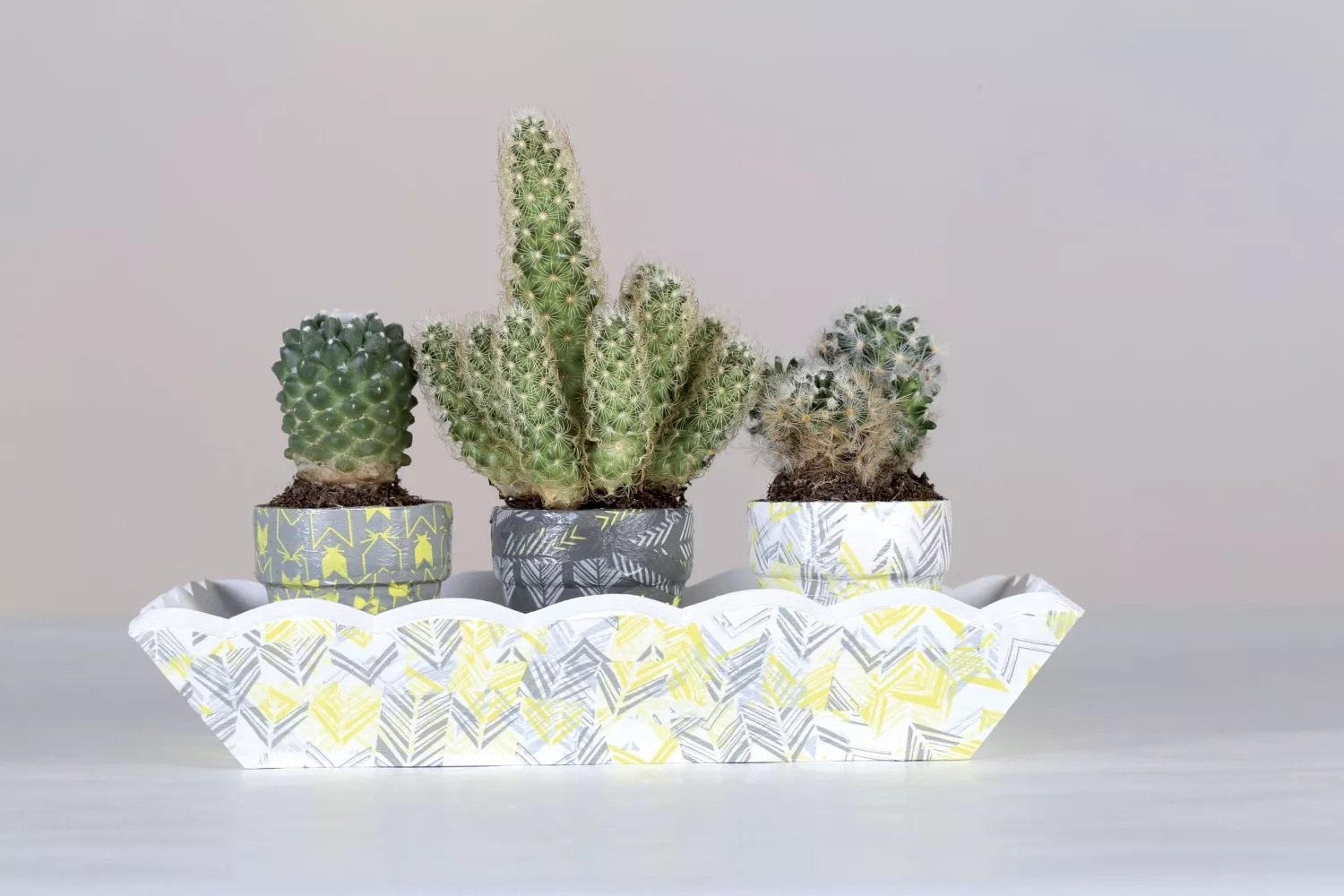Papier patch GluePatch Flèches