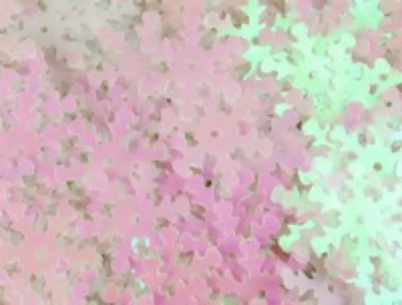 Sequins flocons...