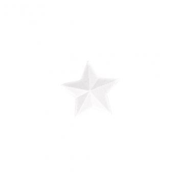3325600 - 4006166513510 - Rayher - Étoile en Polystyrène 15 cm